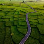 troubled-waters:-australian-government’s-$15-million-sunrice-fix-ignores-the-root-crisis