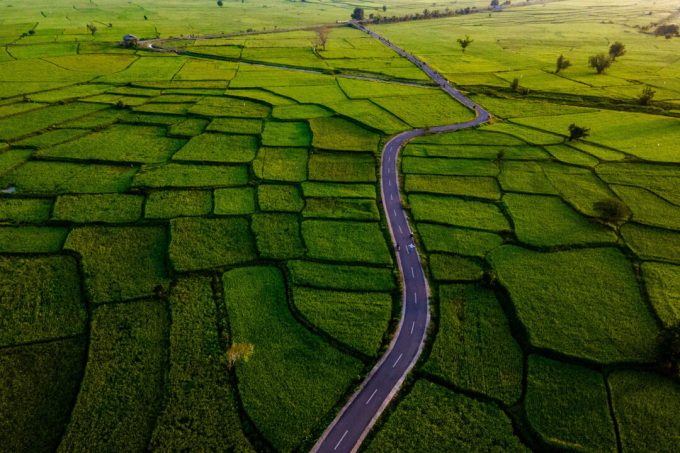 troubled-waters:-australian-government’s-$15-million-sunrice-fix-ignores-the-root-crisis