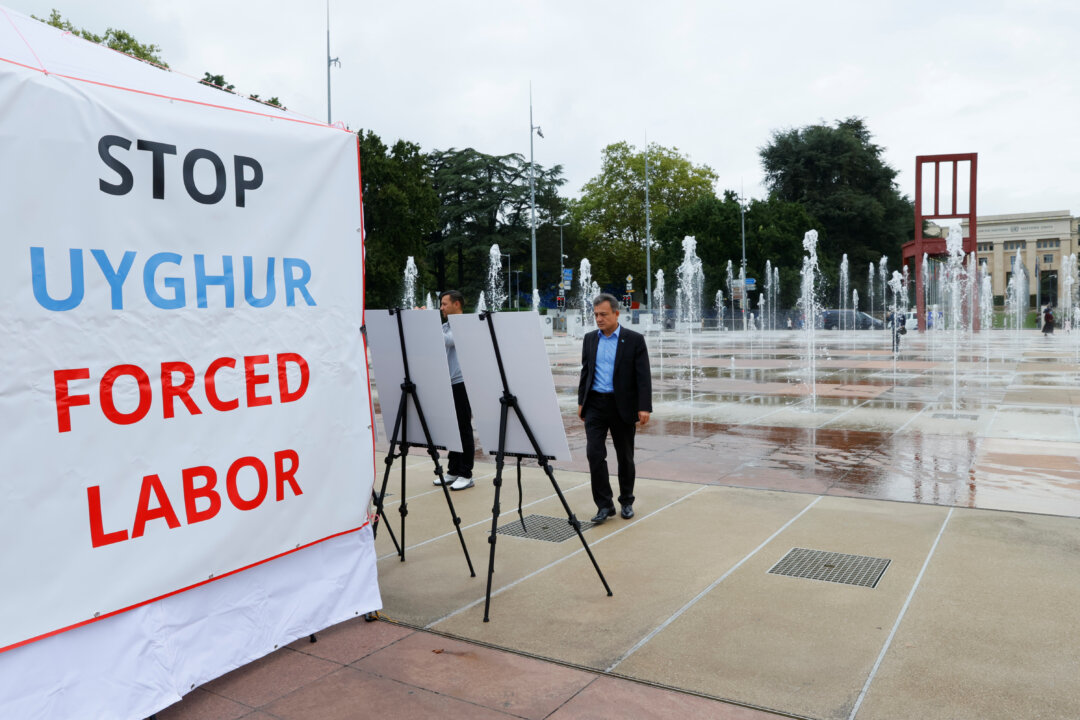 lawmakers-press-dhs-on-forced-labor-import-enforcement