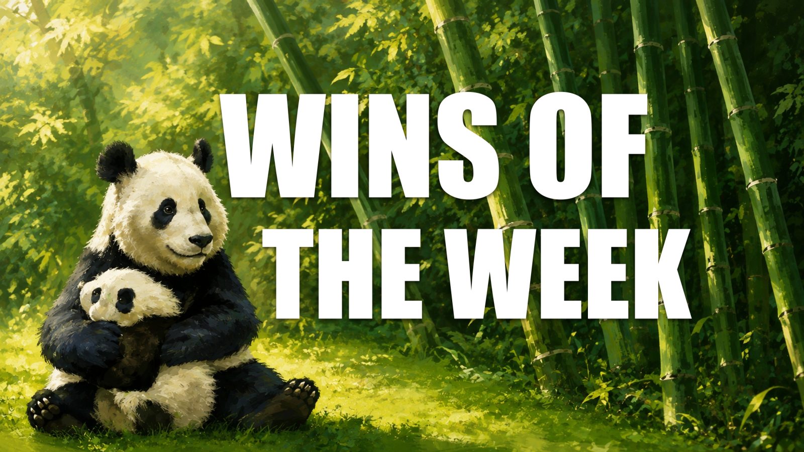 wins-of-the-week-139-with-christof-plothe