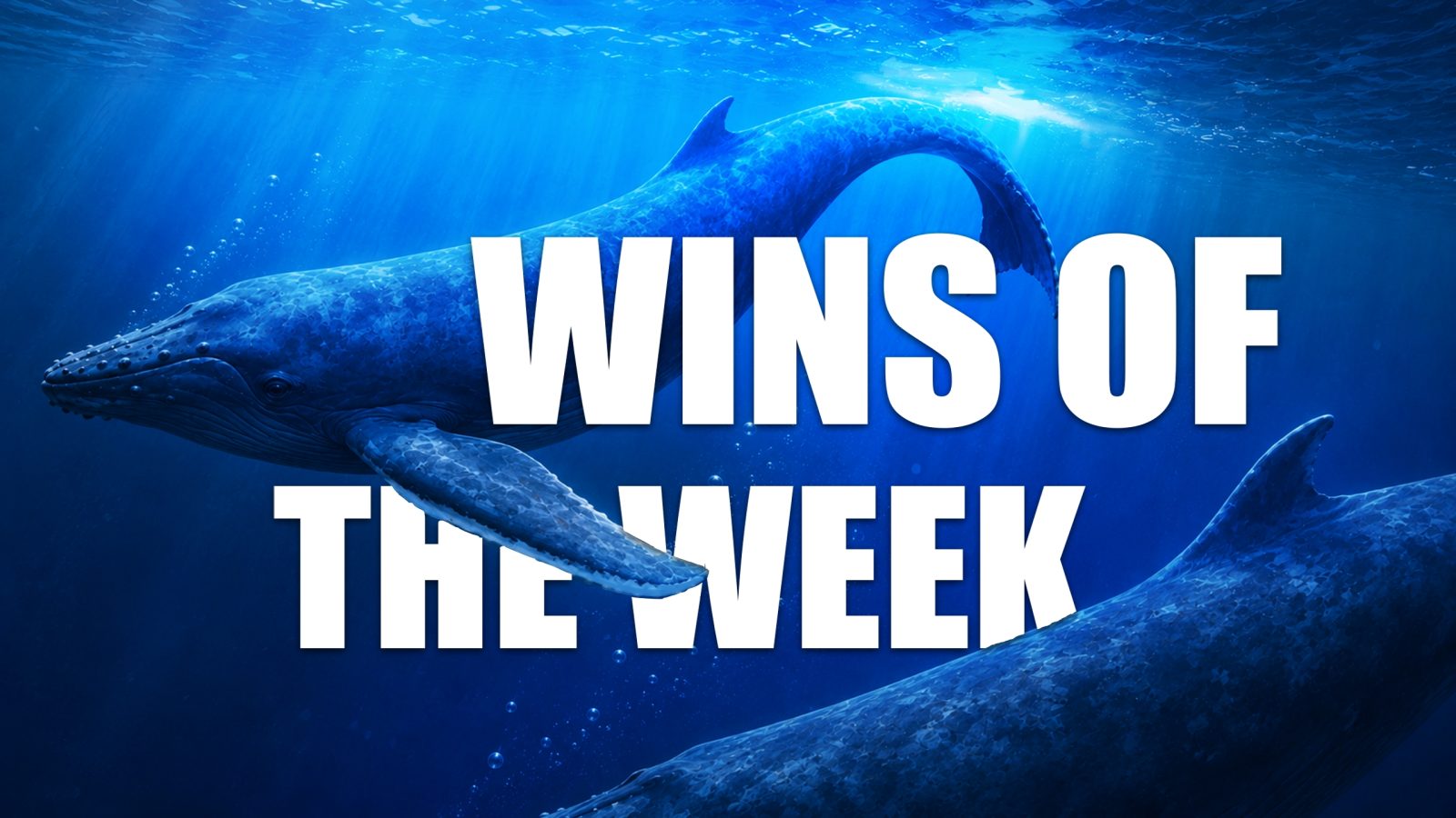 wins-of-the-week-136-with-ted-kuntz