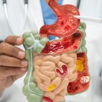 three-discoveries-that-transformed-how-we-understand-nutrition