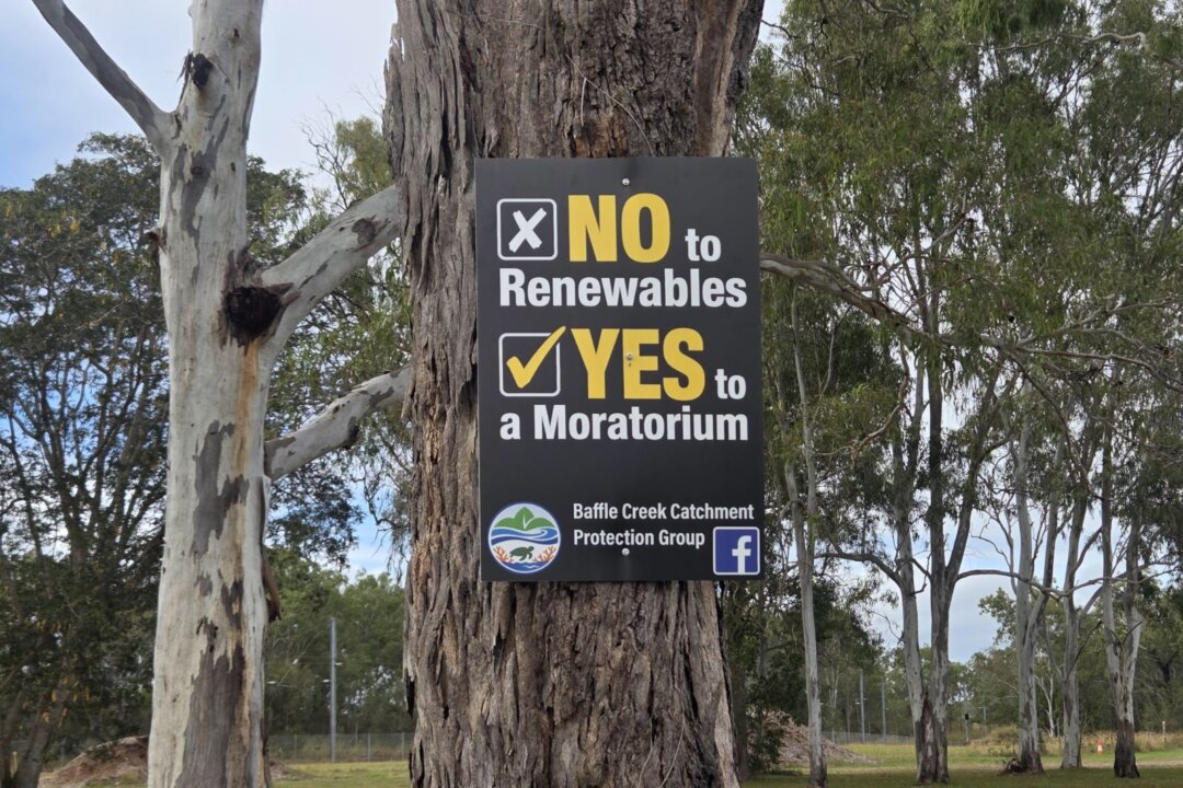 ex-firefighter-leads-community-fight-against-renewables-amid-fire,-environmental-concerns