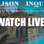 live-soon:-where-you-can-watch-the-allison-inquiry-hearings-online