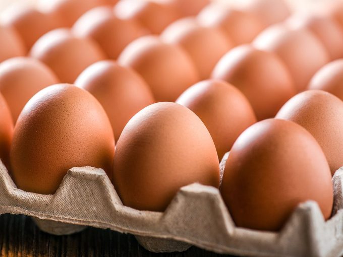 chris-selley:-there-are-american-eggs-in-our-midst!