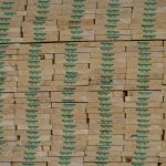 bc-forestry-sector-says-industry-at-‘breaking-point’-in-letter-to-premier-david-eby