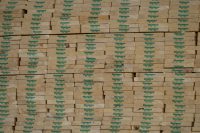 bc-forestry-sector-says-industry-at-‘breaking-point’-in-letter-to-premier-david-eby
