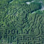 alberta-farm-celebrates-dolly-parton’s-life-with-corn-maze-tribute