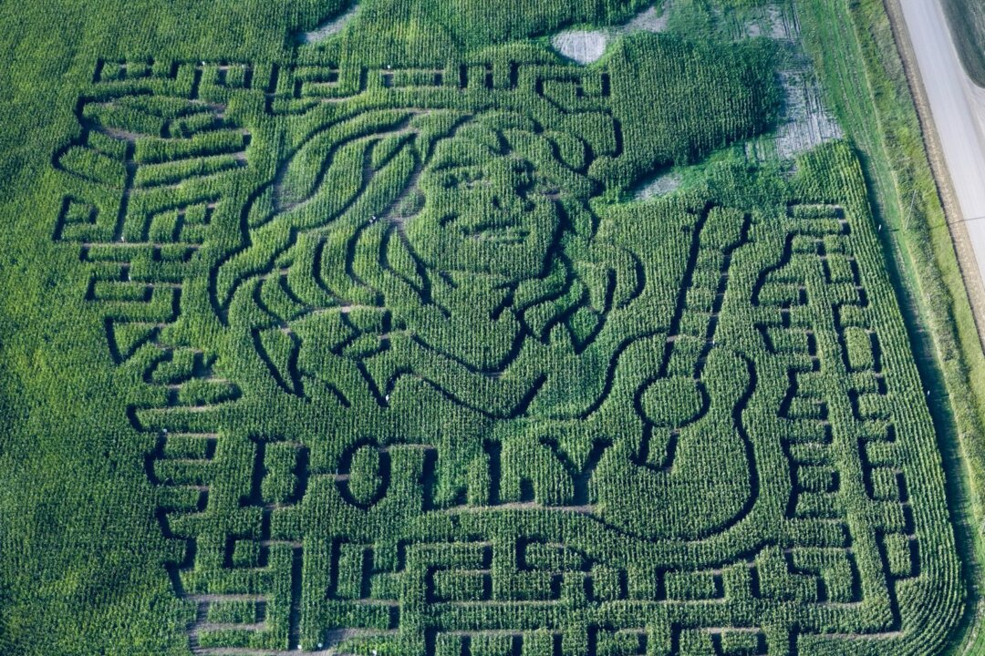 alberta-farm-celebrates-dolly-parton’s-life-with-corn-maze-tribute
