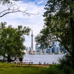 in-some-cities,-trees-are-contributing-to-ozone-pollution,-study-finds