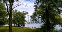 in-some-cities,-trees-are-contributing-to-ozone-pollution,-study-finds