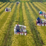 china-audits-farmland-use,-hits-businesses-with-new-fees-ahead-of-2027-law