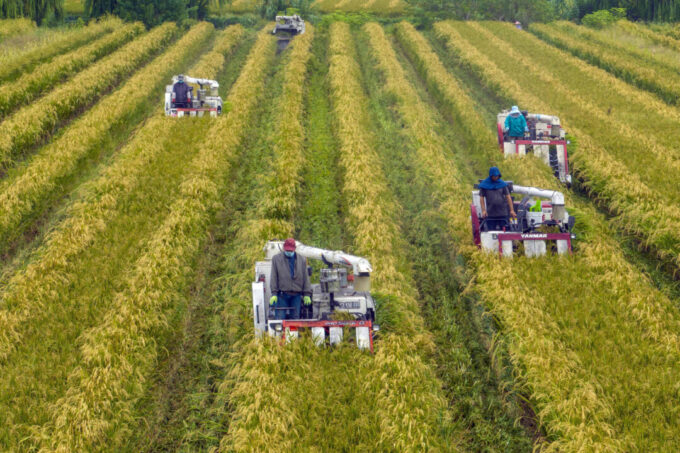 china-audits-farmland-use,-hits-businesses-with-new-fees-ahead-of-2027-law