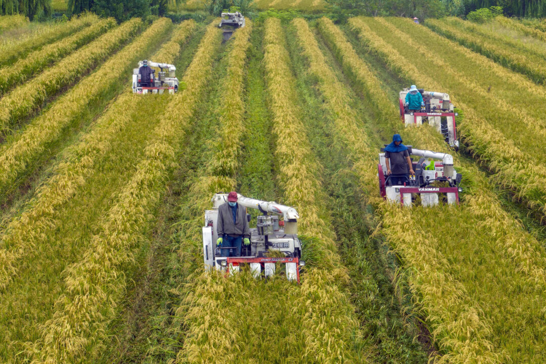 china-audits-farmland-use,-hits-businesses-with-new-fees-ahead-of-2027-law