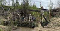 why-conservationists-are-thinking-and-acting-like-beavers