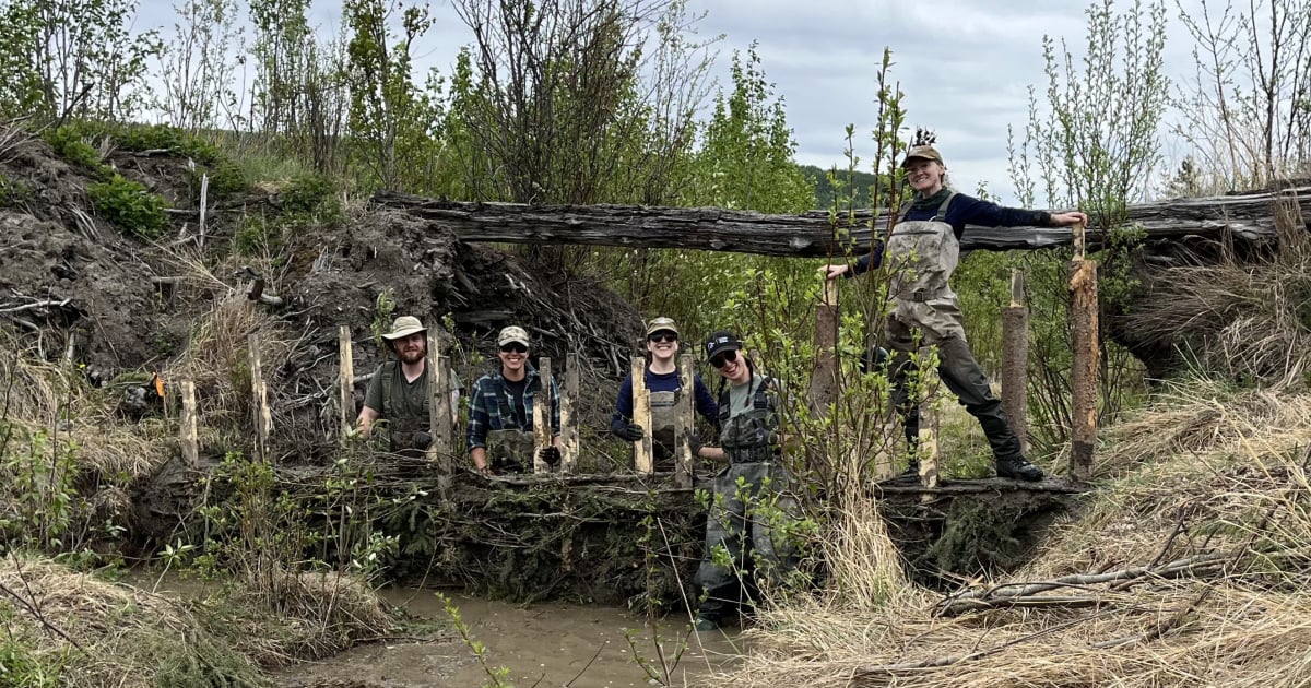 why-conservationists-are-thinking-and-acting-like-beavers