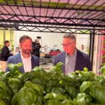 a-rave-for-plants:-calgary-company-tests-pulsed-lighting-to-cut-indoor-farm-energy-use