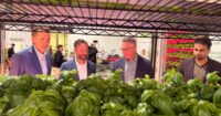 a-rave-for-plants:-calgary-company-tests-pulsed-lighting-to-cut-indoor-farm-energy-use