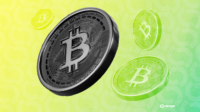 bitcoin-climbs-as-ai-slowdown-calls-sink-nvidia,-intel-and-other-chip-stocks