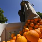 australia-cuts-backpacker-places-as-farming,-tourism-warn-of-shortages