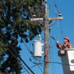 new-brunswick-coal-fired-generating-station-switching-to-wood-pellets