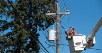 new-brunswick-coal-fired-generating-station-switching-to-wood-pellets
