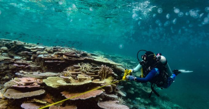 while-coral-reefs-can-recover,-relentless-heat-waves-won’t-let-them
