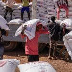 how-the-end-of-usaid-eroded-global-environmental-goals