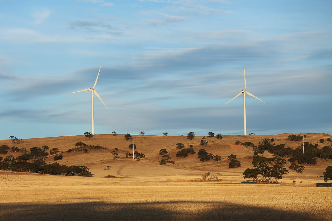 advocacy-groups-want-data-centres-to-fund-new-renewables-to-boost-energy-security
