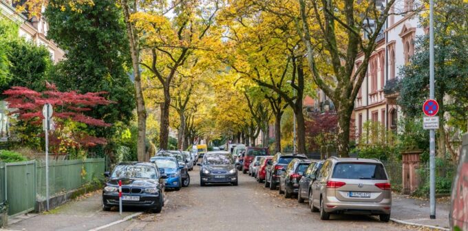 ‘small,-flowering-islands’:-german-city-reveals-how-nature-thrives-when-neighbours-care-for-street-tree-beds