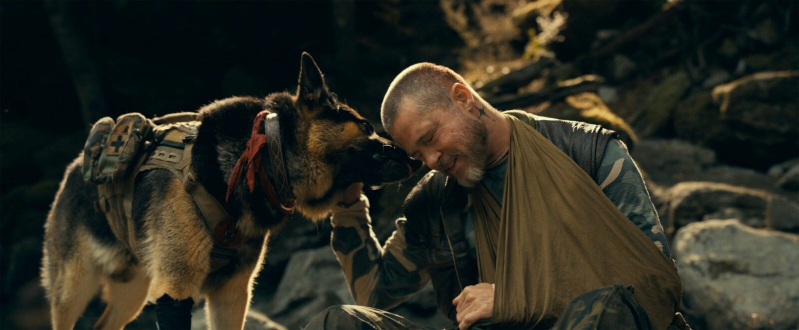 “i-just-silently-wept”:-brad-pitt-praises-emotional-script-for-new-film-about-a-soldier-and-his-dog