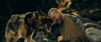 “i-just-silently-wept”:-brad-pitt-praises-emotional-script-for-new-film-about-a-soldier-and-his-dog