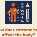 starter-pack:-extreme-heat