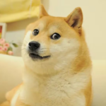 dogeos-launches-testnet-to-bring-evm-smart-contracts-to-dogecoin