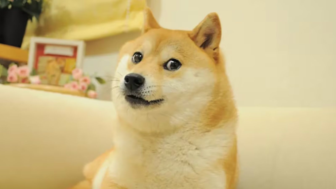 dogeos-launches-testnet-to-bring-evm-smart-contracts-to-dogecoin