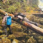 a-last-ditch-effort-to-revive-salmon-stocks-takes-shape-on-bc’s-central-coast