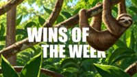 wins-of-the-week-148-with-glen-jung